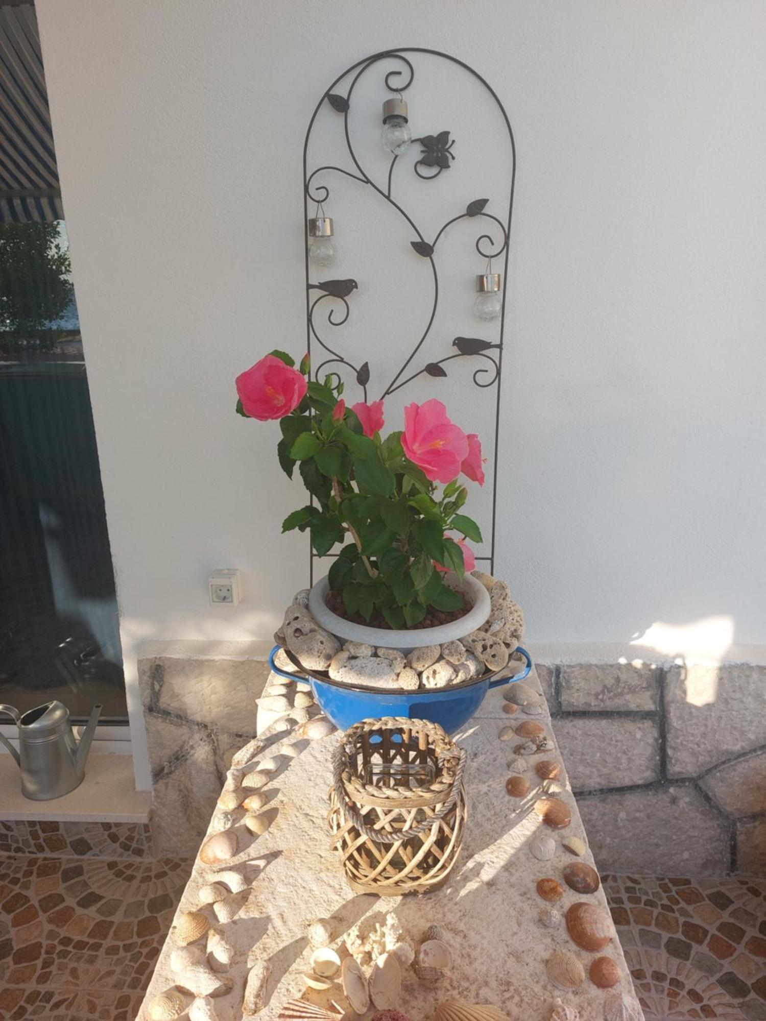 Apartmani Mirona - Tučepi Extérieur photo